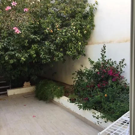 بيت ضيافة St Paul Butts Inns خليج سانت بول